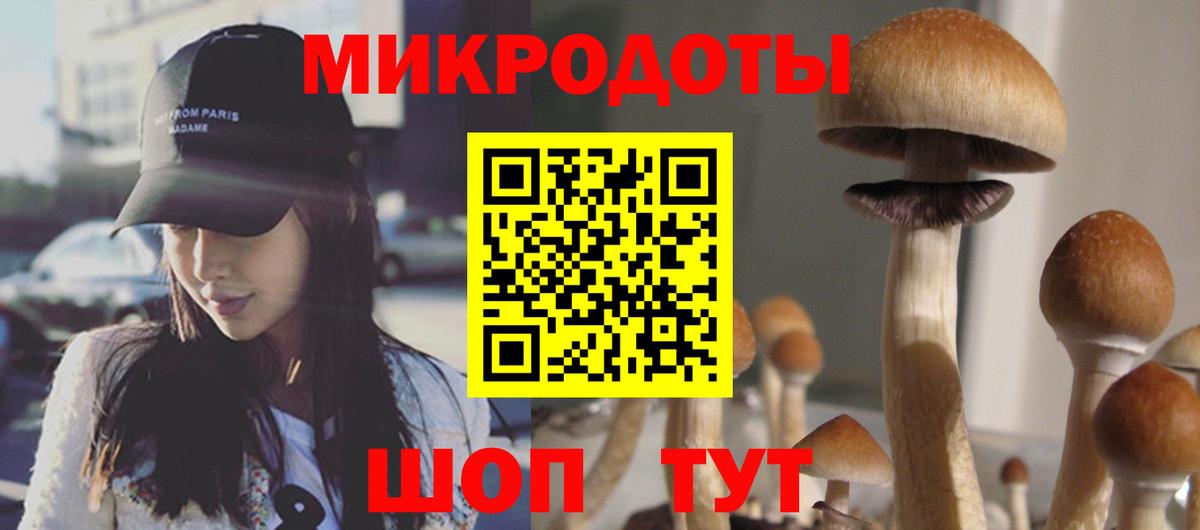 Галлюциногенные грибы Psilocybine cubensis Лиски